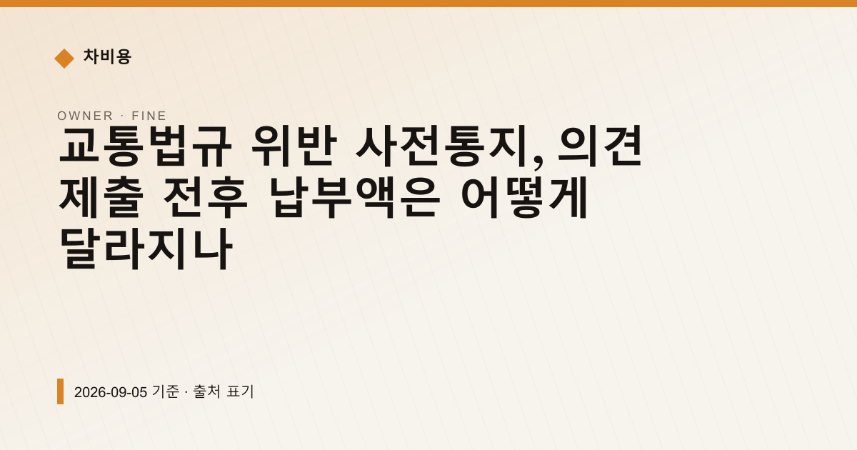 과태료 사전통지, 의견 제출 전 내면 20% 깎이는 이유 — 과태료·범칙금 안내 이미지