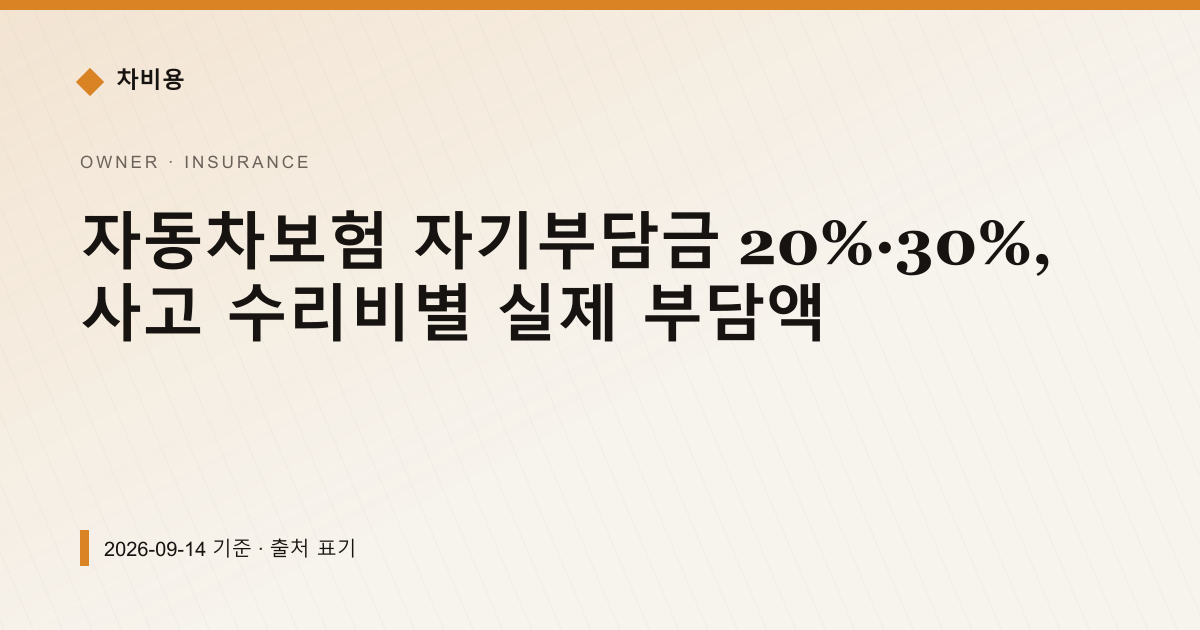 자기부담금 20%·30%, 수리비별 실제 부담액 — 자동차보험료 안내 이미지