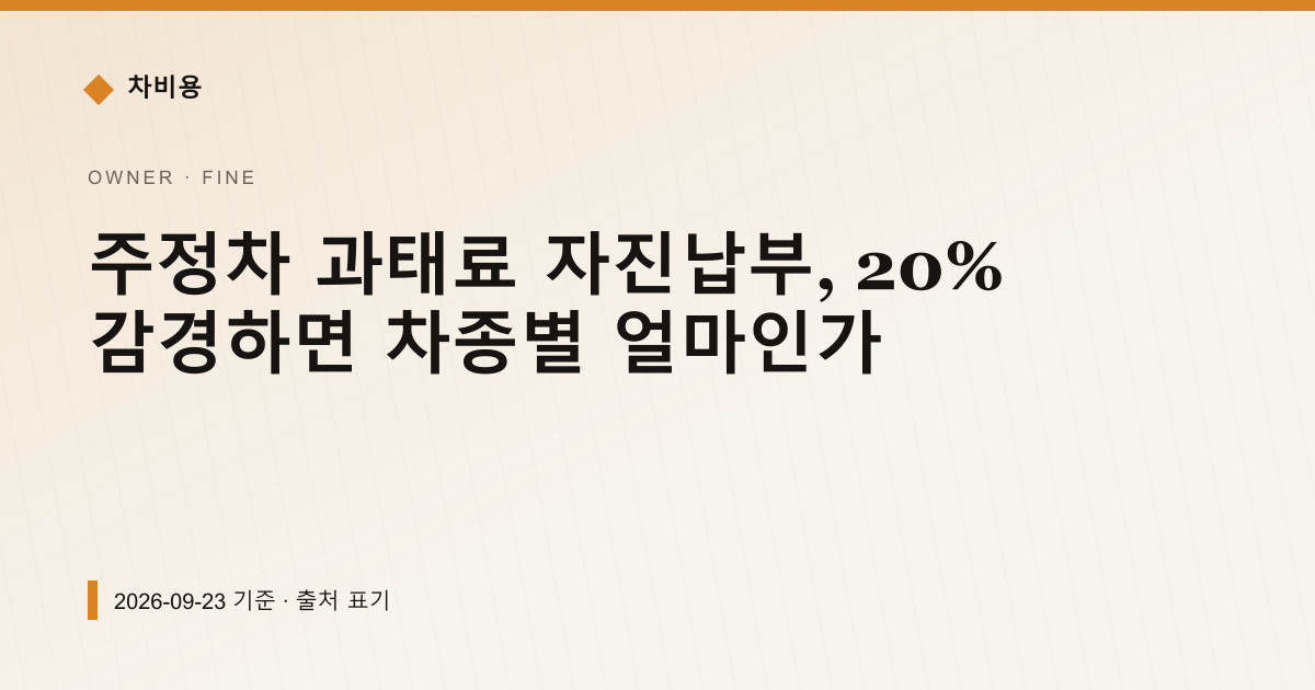 주정차 과태료 자진납부, 20% 감경하면 차종별 얼마인가 — 과태료·범칙금 안내 이미지
